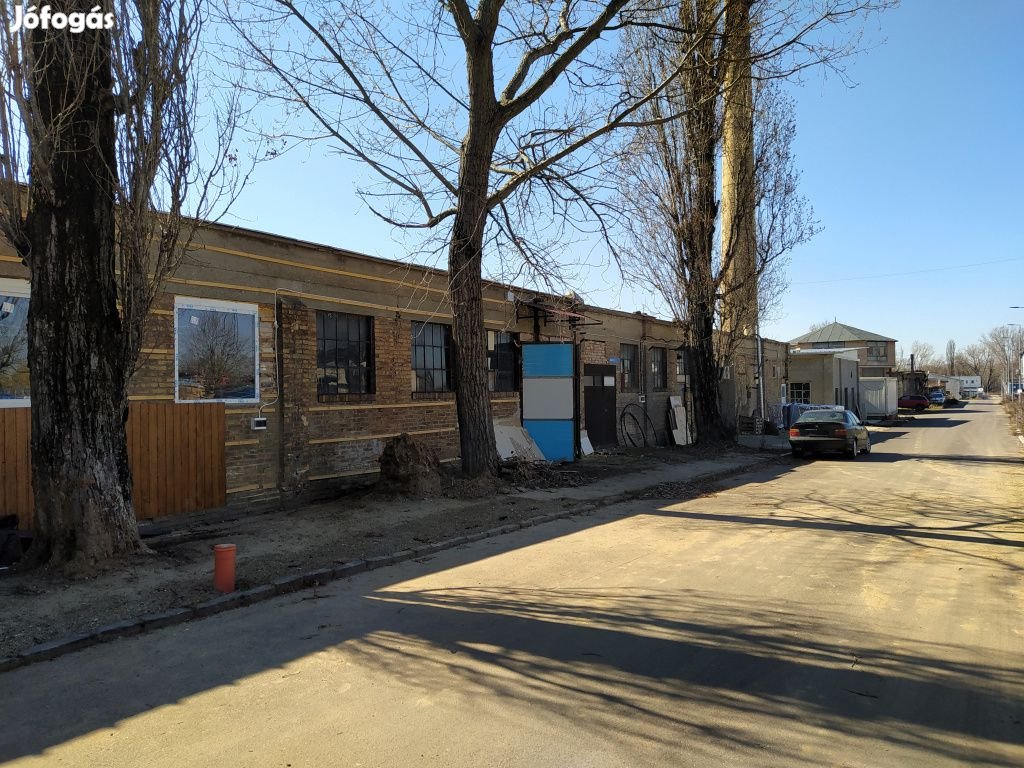 XVII. Kerület, Cinkotai út, 146 m2-es, egyéb üzlethelyiség, 1 szobás