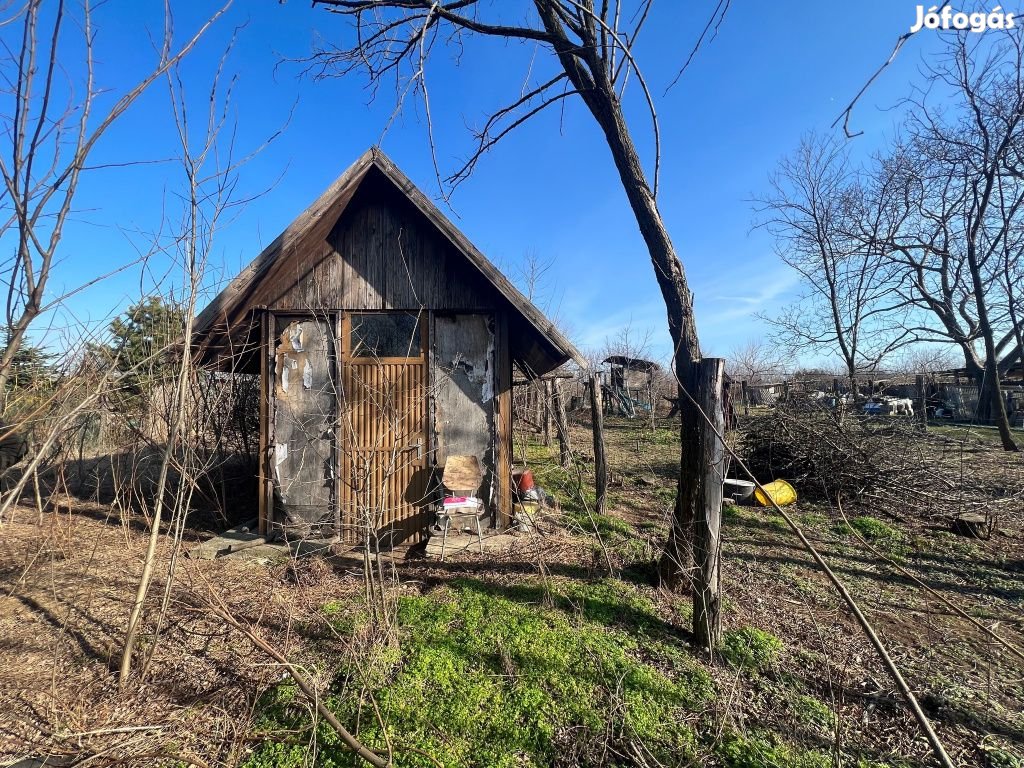 XVII. Kerület, Pesti úti lkp közeli zártkerti utca, 855 m2-es, telek