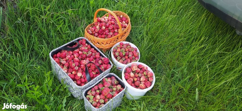 XVII. Kerület, Rákoshegy csendes mellékutcában található