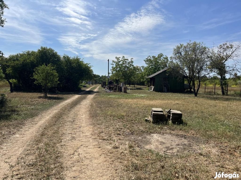 XVII. Kerület, Szőlőliget lkp környékén lévő utca, 835 m2-es, telek