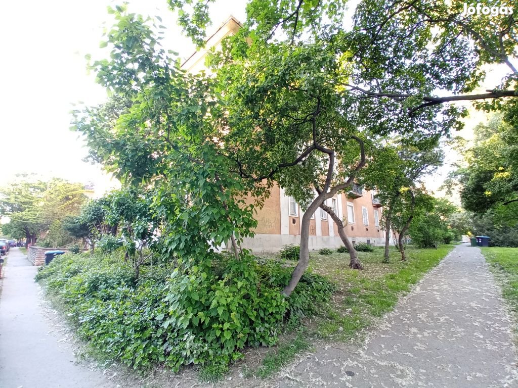 XV. Kerület, TÁTIKA utca, 61 m2-es, szuterén, társasházi lakás