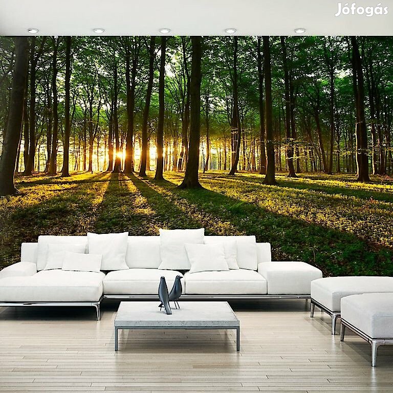 XXL Fotótapéta - Misztikus reggel 2