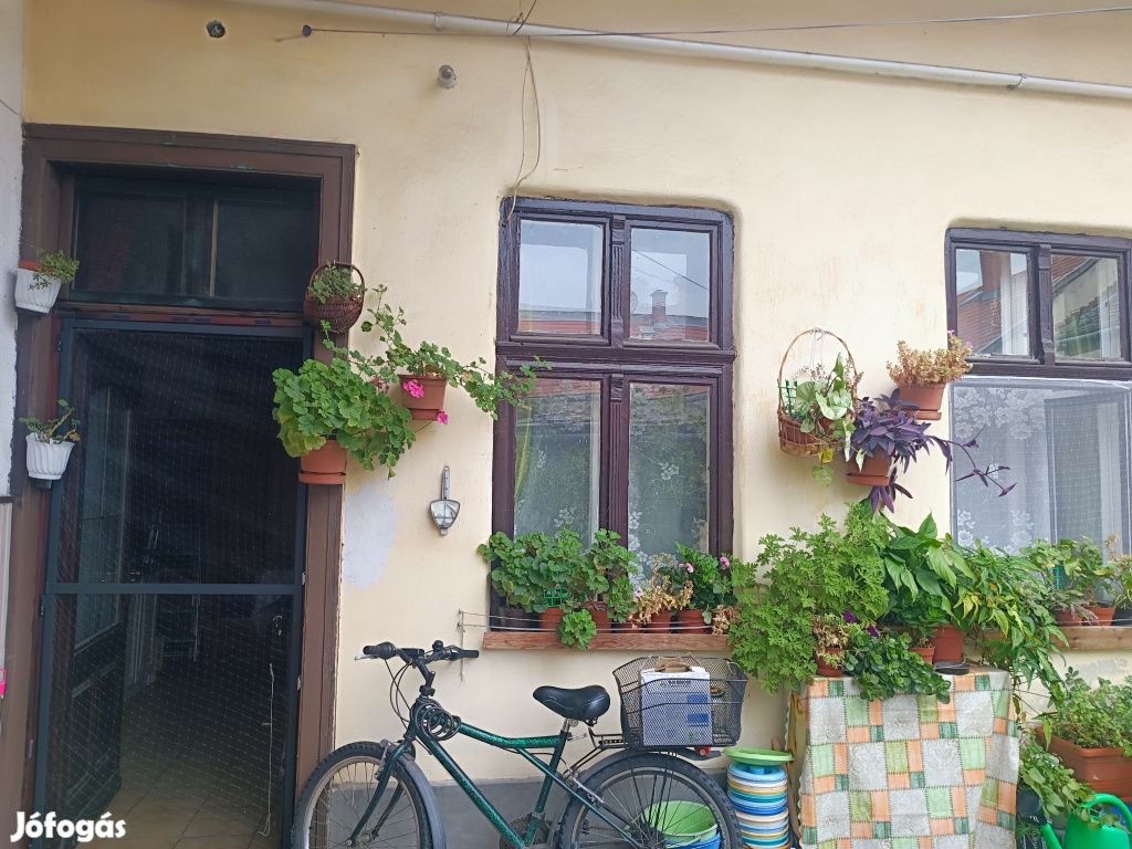 XX. Kerület, Bem utca, 30 m2-es, földszinti, társasházi lakás