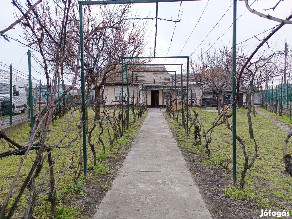 XX. Kerület, Gubacsipuszta, 485 m2-es, telek