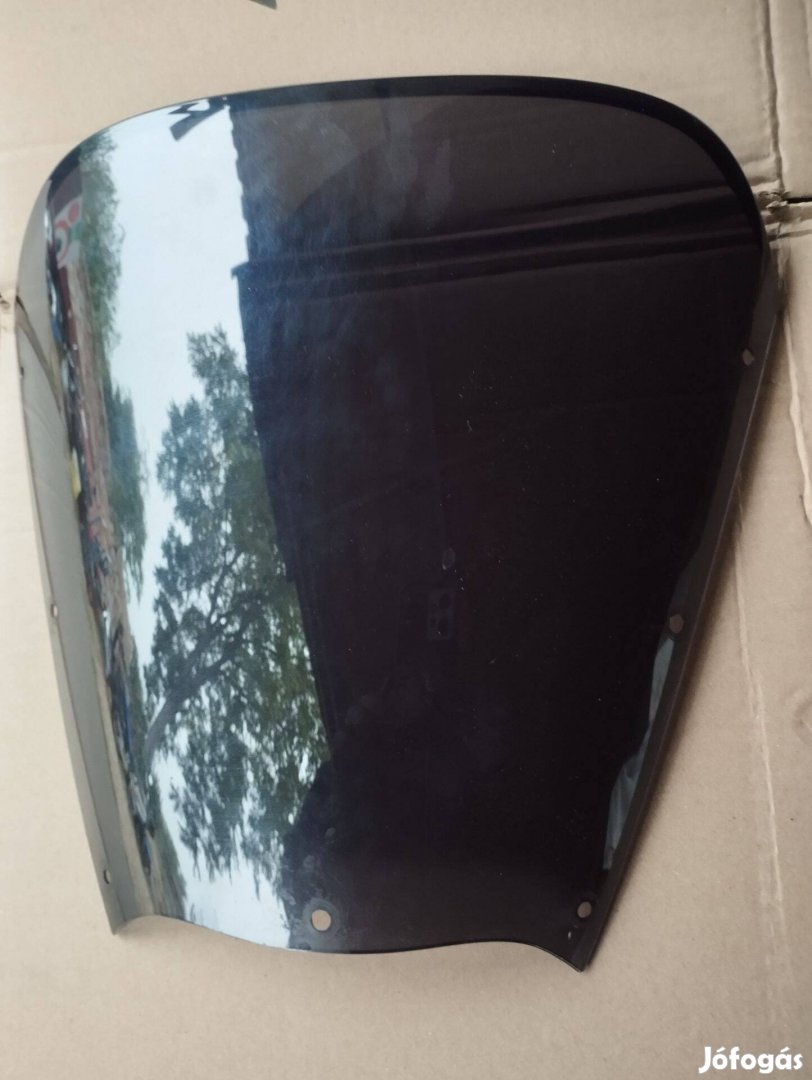 Yamaha TDM 900 plexi
