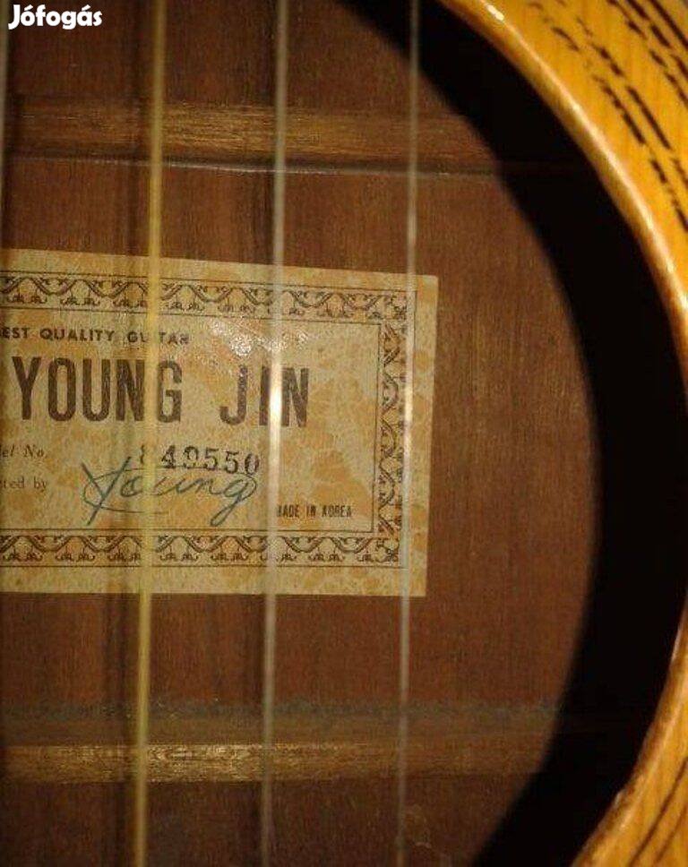 Young Jin elektroakusztikus gitár