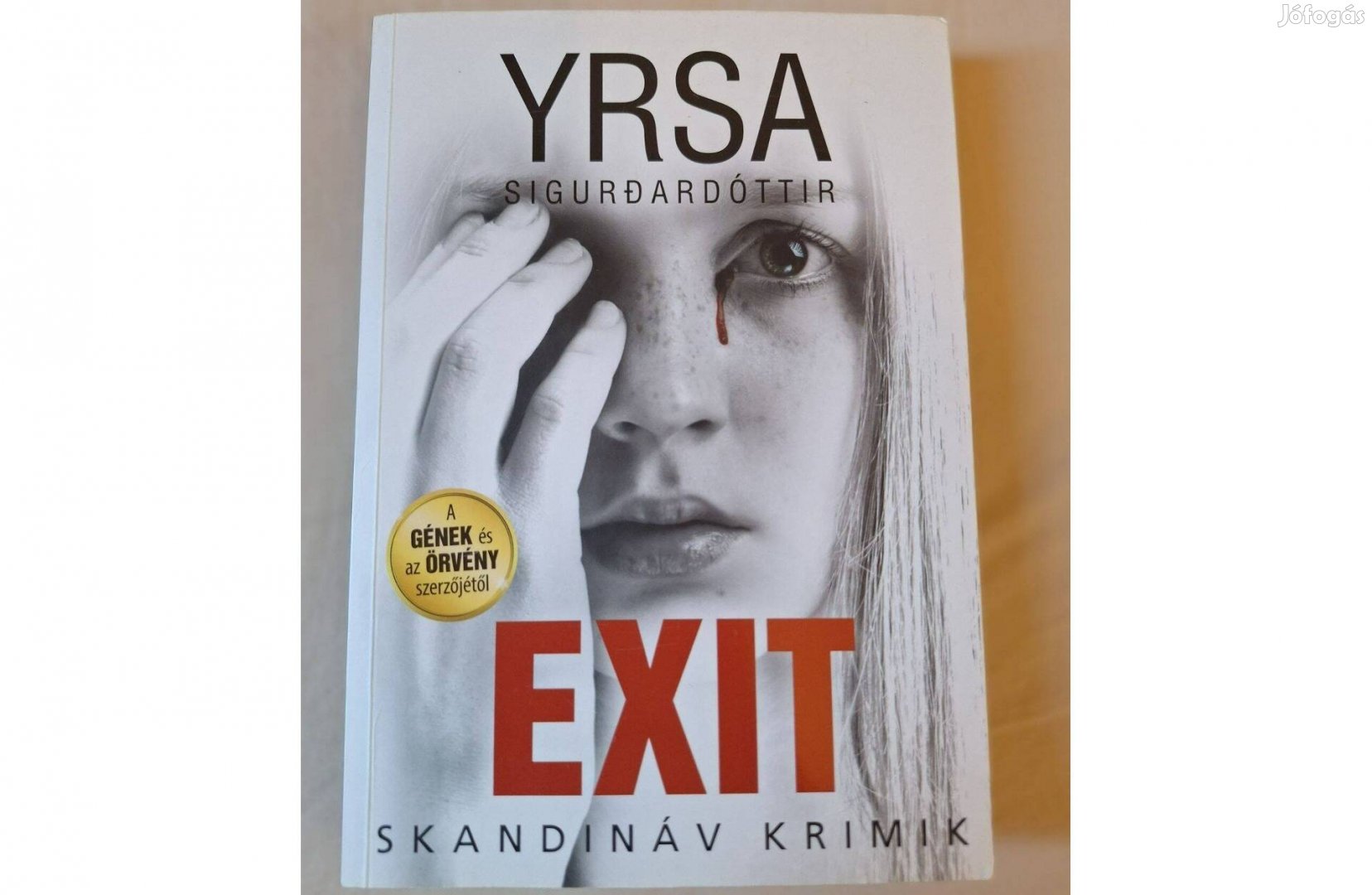 Yrsa S. - Exit krimi regény