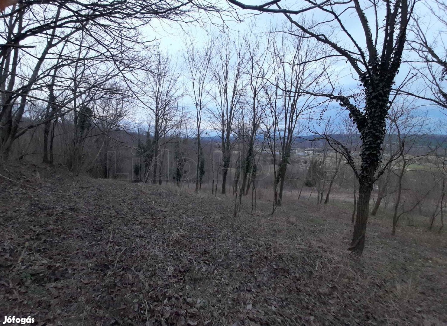 Zalacsány, Zala megye