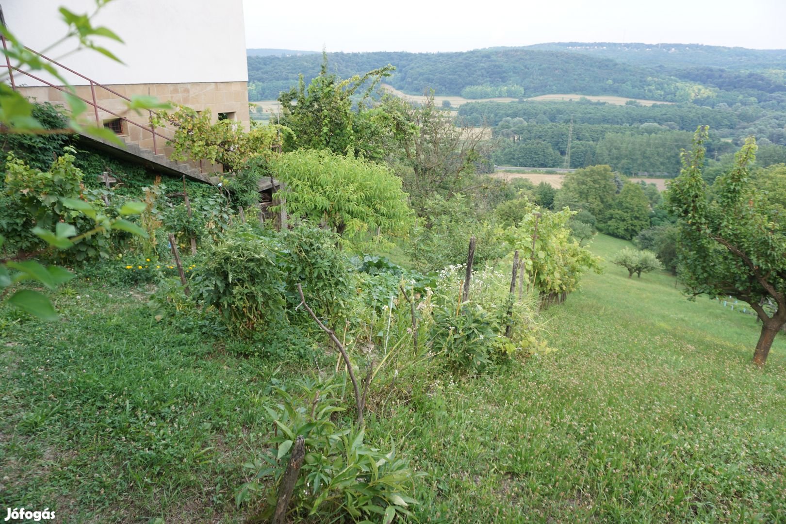 Zalaegerszeg Gévahegyen panorámás terület eladó!