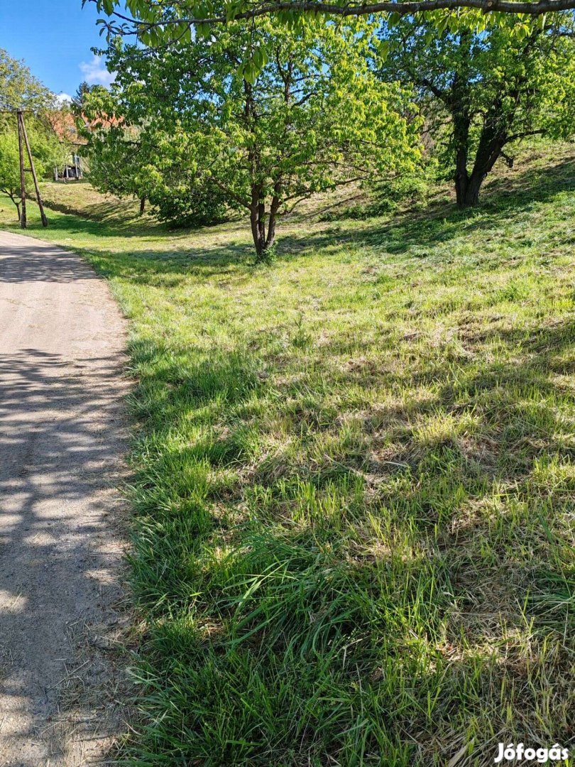 Zalaegerszegen zártkerti beépíthető telek