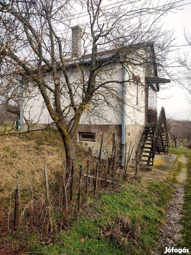 Zalaszentlászlón szőlőültetvény, gyümölcsös eladó