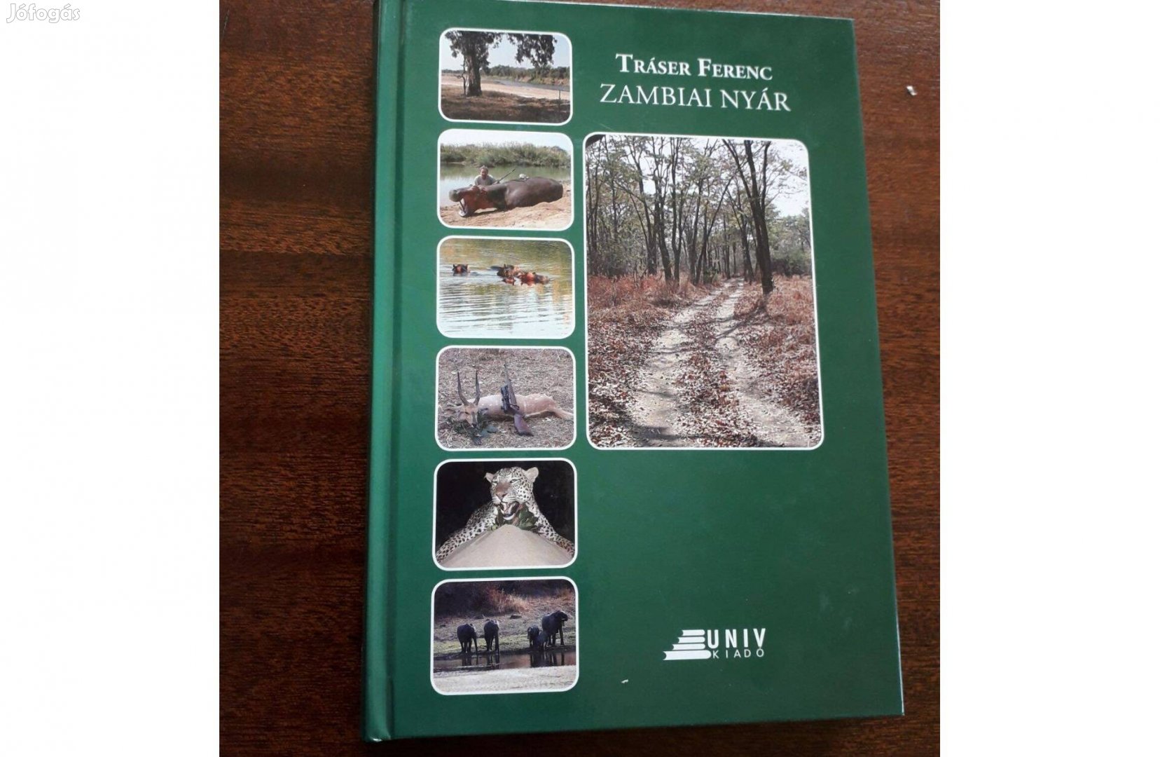 Zambiai nyár