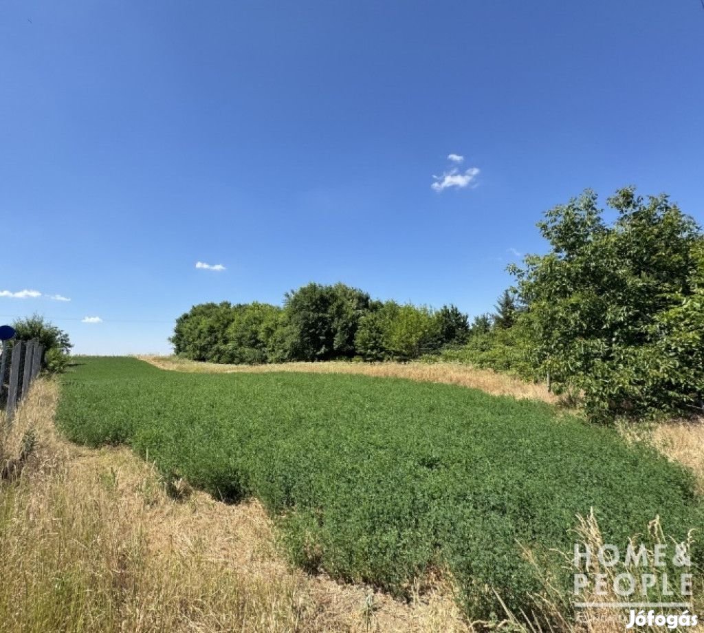 Zártkert eladó Gyálaréten a vízpart mellett! - Röszke