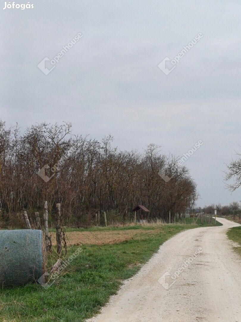 Zártkerti ingatlan Fertőszentmiklóson