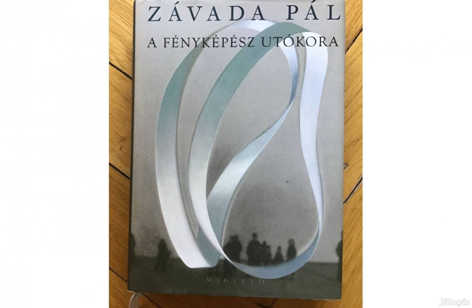 Závada Pál: A fényképész utókora