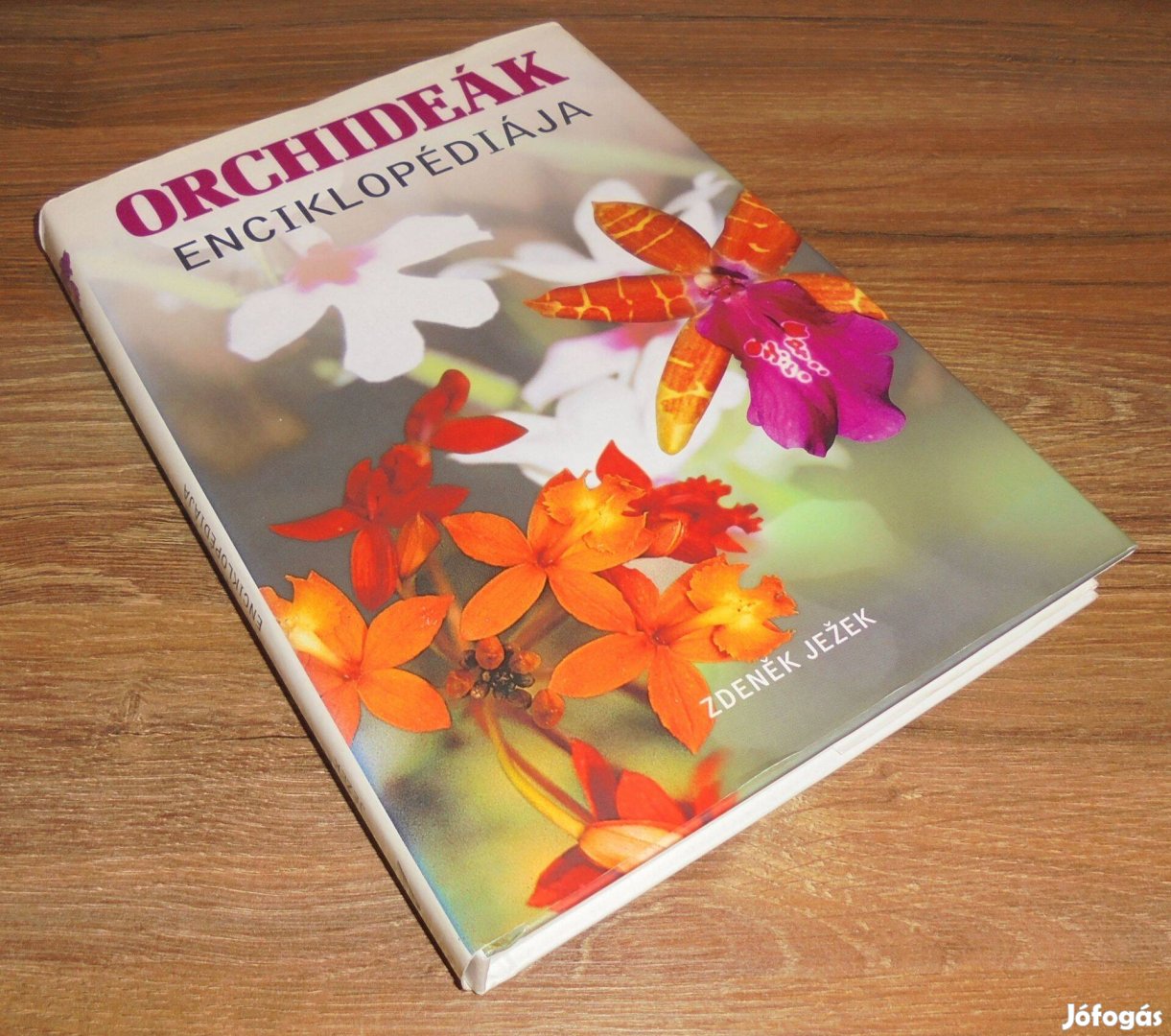 Zdenék Jezék: Orchideák enciklopédiája