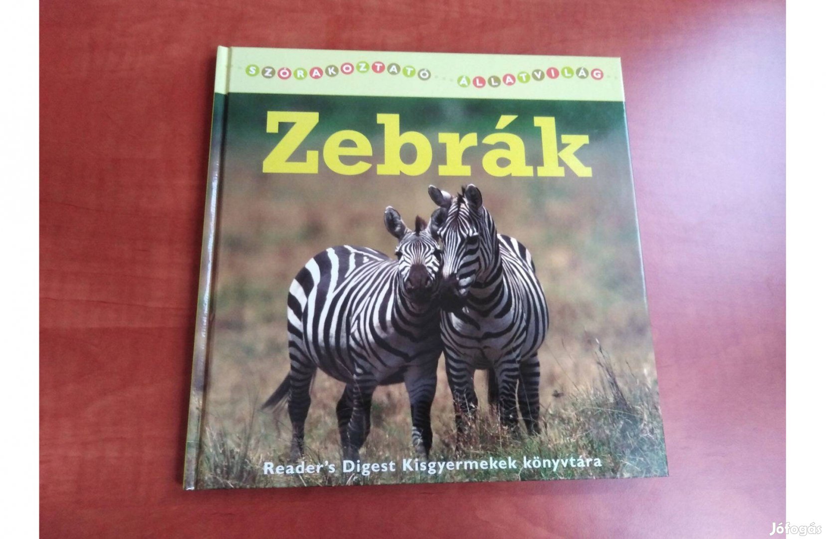 Zebrák - Szórakoztató állatvilág