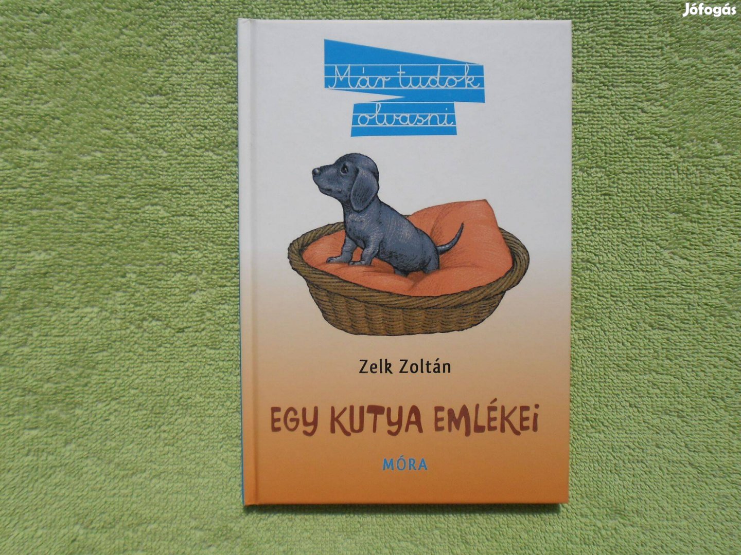 Zelk Zoltán: Egy kutya emlékei