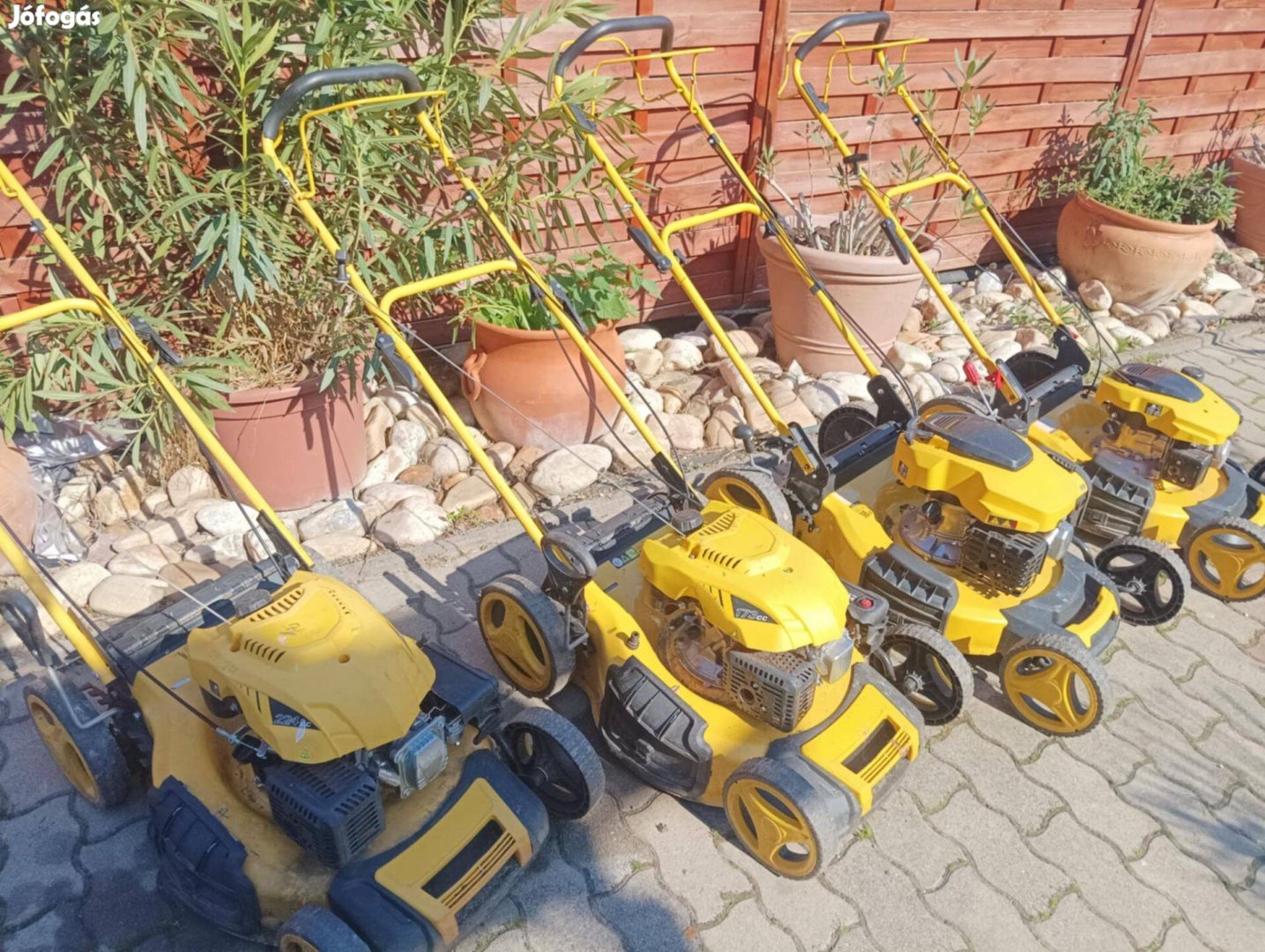 Zgonc önjárós Német fűnyíró Eladó