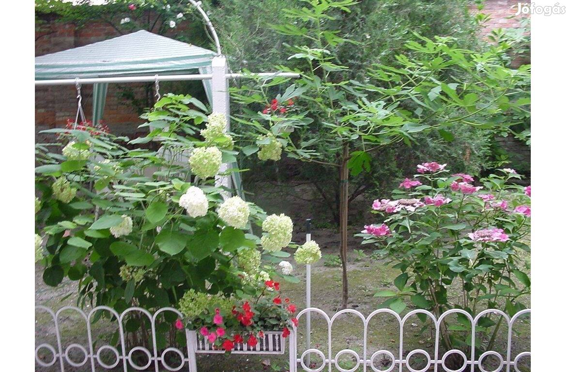 Zöld-fehér színű kerti pavilont szeretnél?