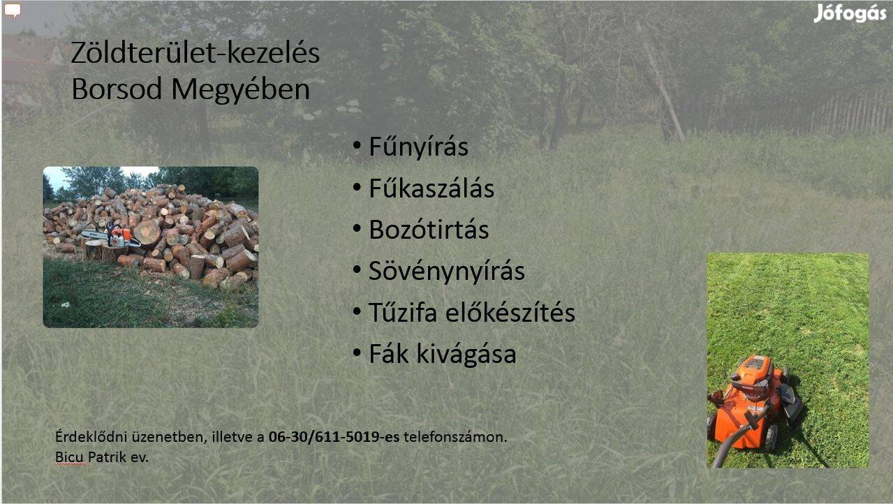 Zöldterület-kezelés, fűnyírás, fűkaszálás