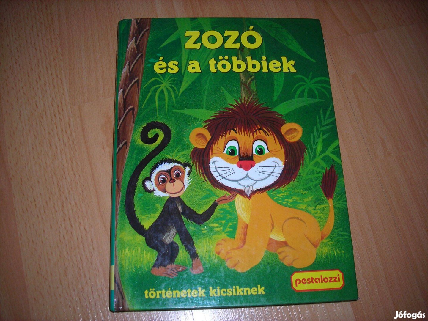 Zozó és a többiek mesekönyv