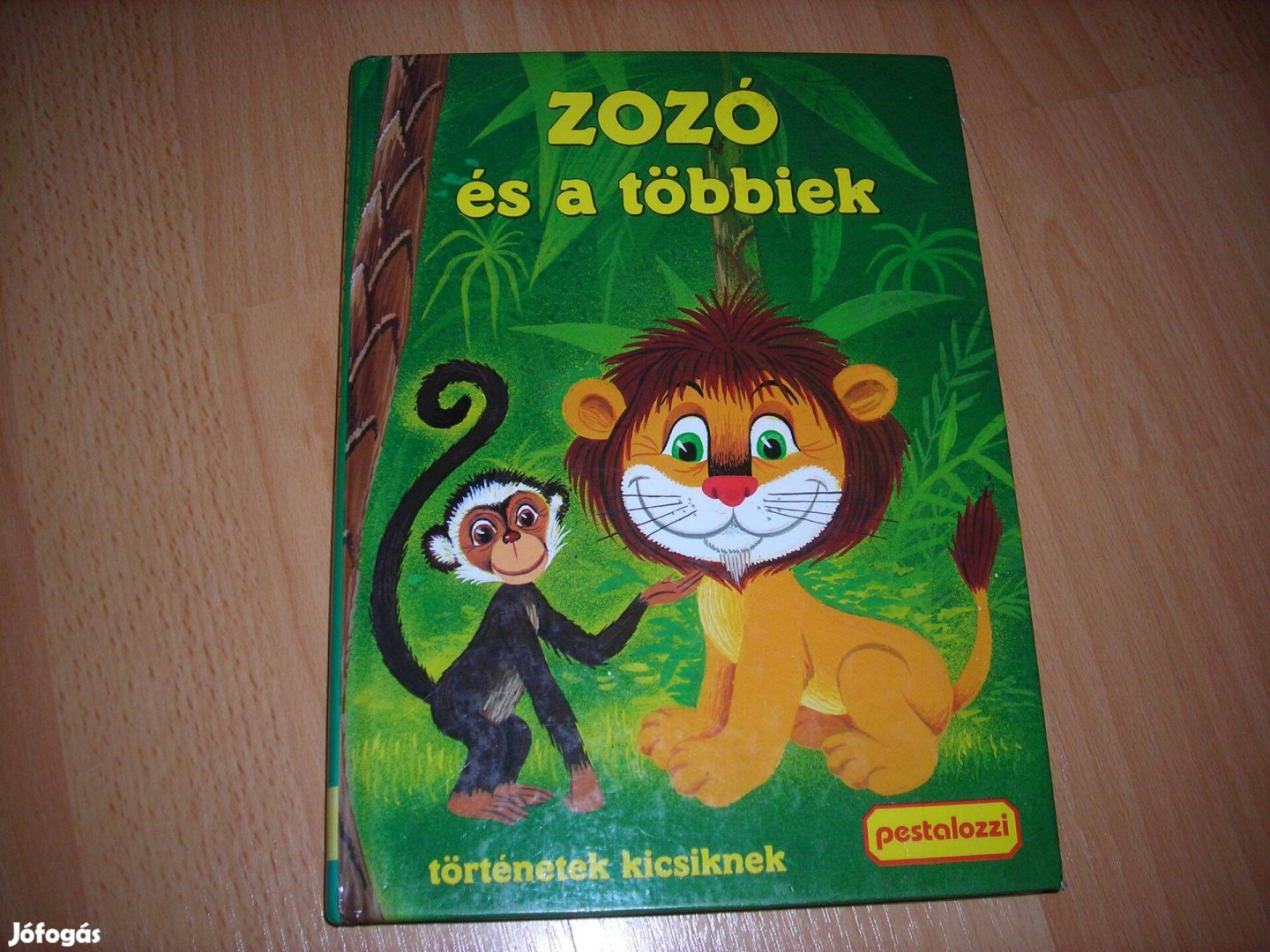 Zozó és a többiek mesekönyv