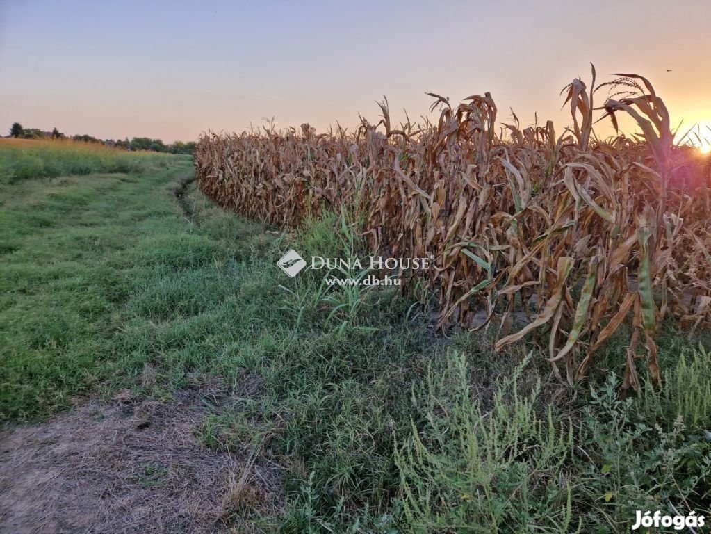 Zsámboki eladó 90 nm-es ház