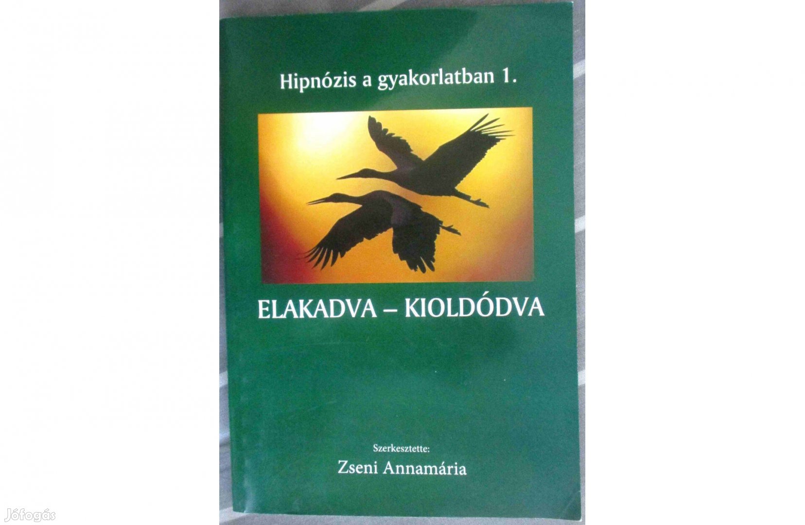 Zseni Annamária: Elakadva - kioldódva (Hipnózis a gyakorlatban 1.)
