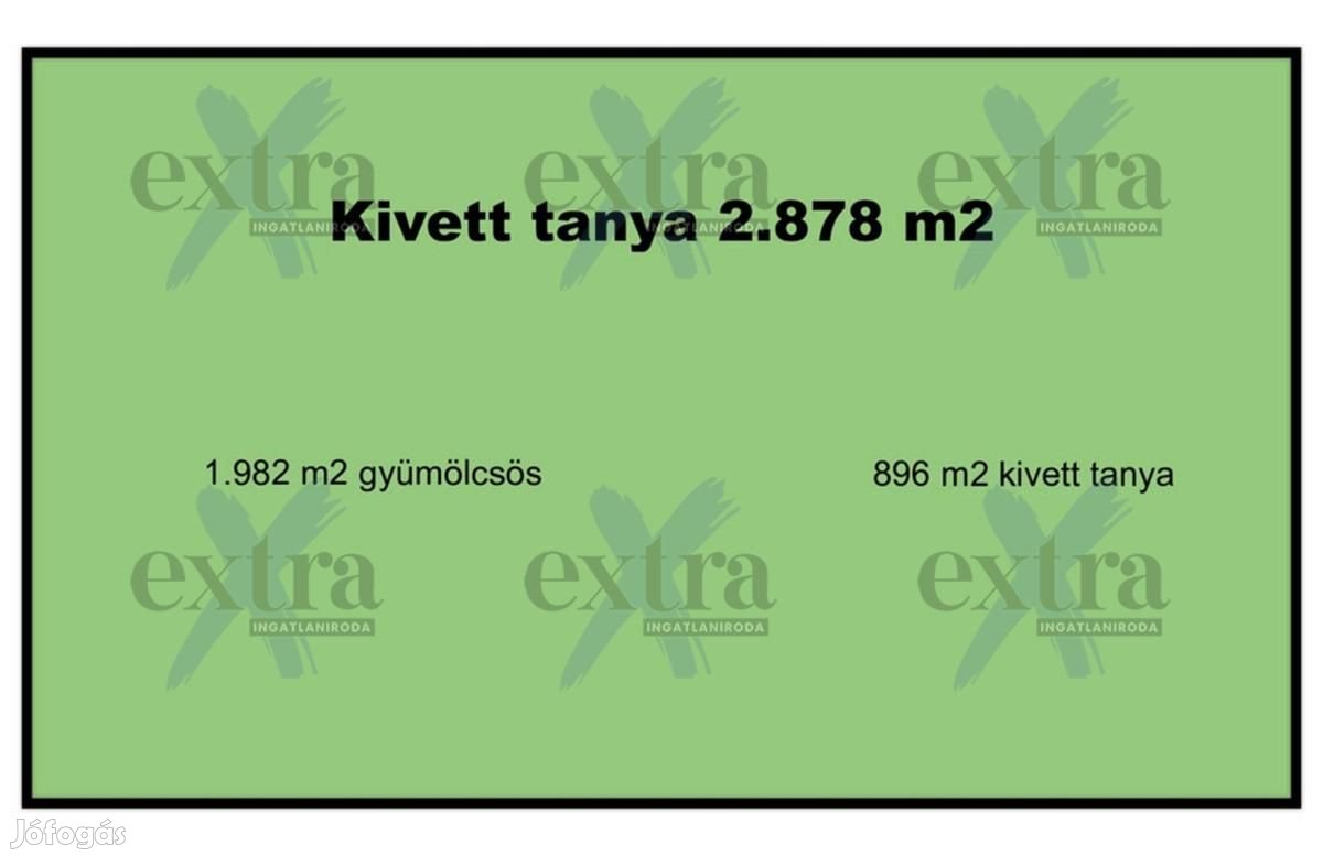 Zsombón, kivett tanya és gyümölcsös Eladó!