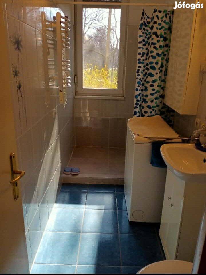 Zuglói egy szobás zöldövezeti magasföldszinti lakás eladó