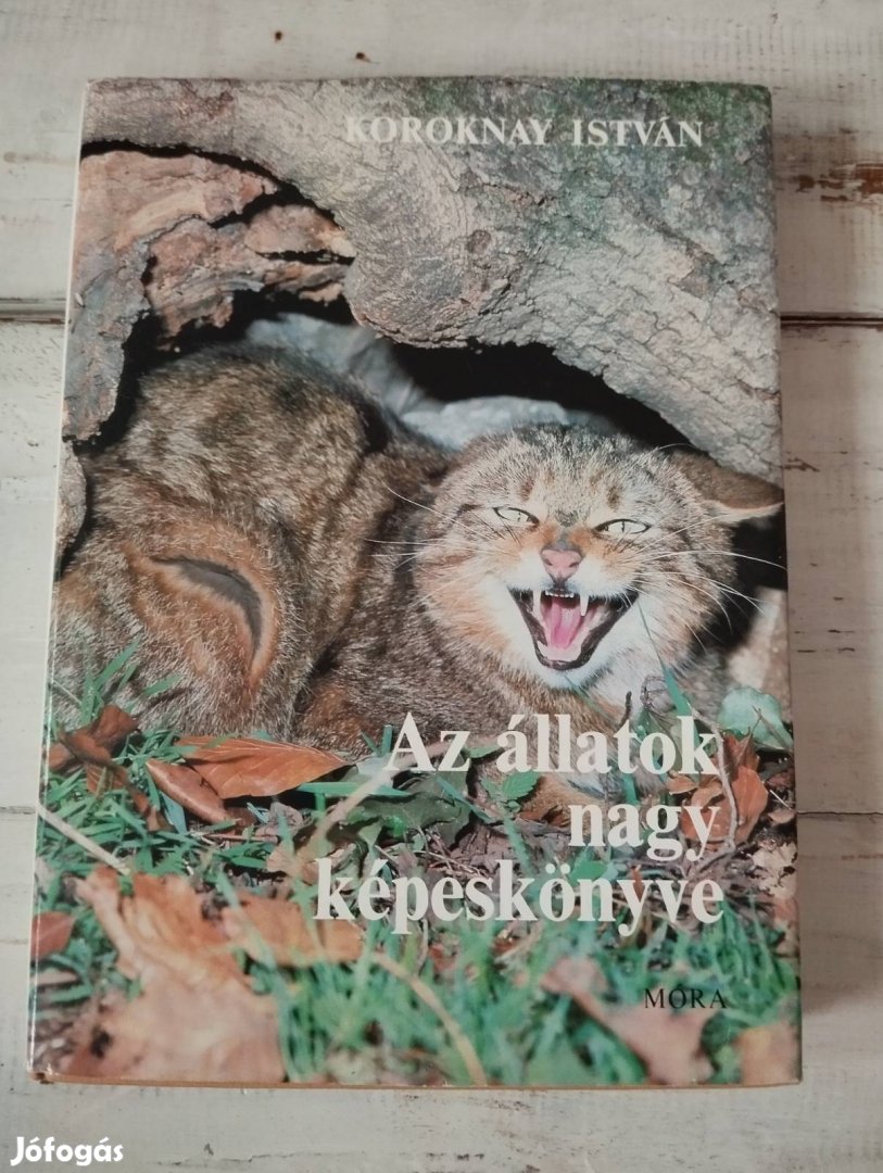 "Az állatok nagy képeskönyve" könyv