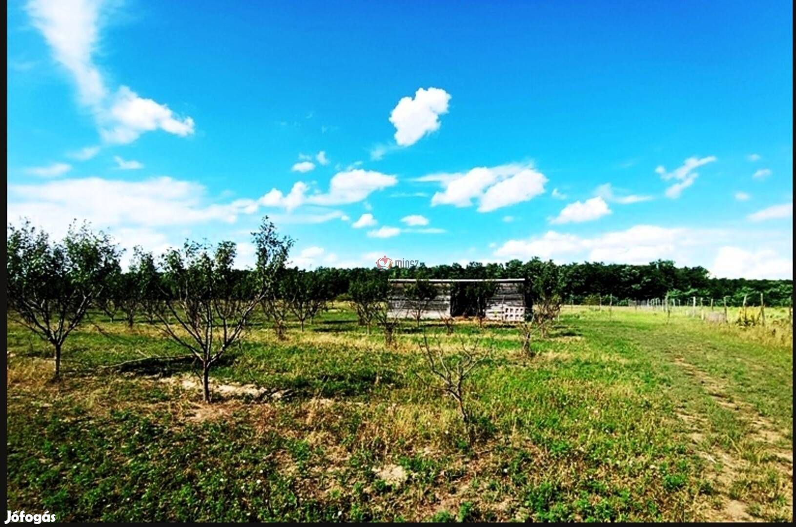 Befektetés a jövőbe  föld, ami értéket teremt! 13078_bhv