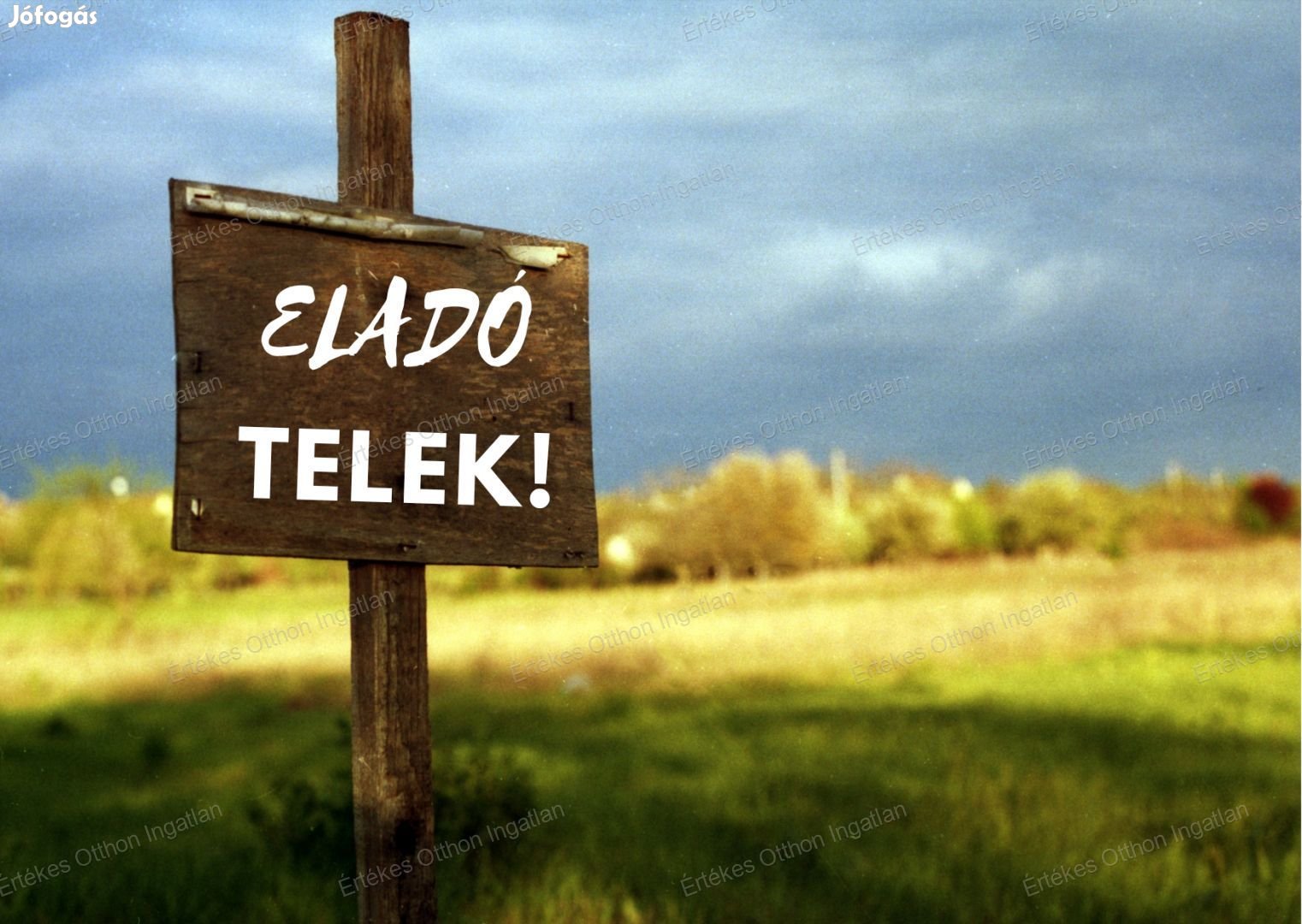 Előnézeti kép