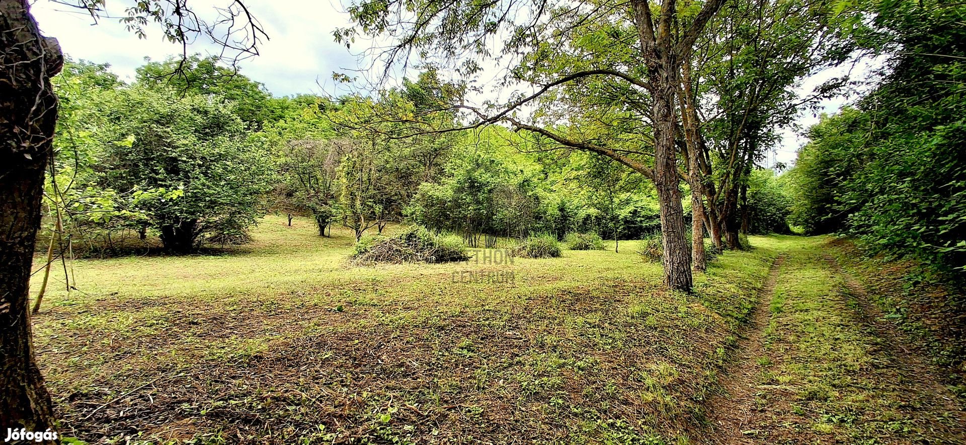 Fedezze fel Baranya gyöngyszemét mezőgazdasági lehetőségek