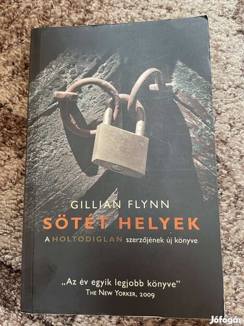 Gillian Flynn: Sötét helyek