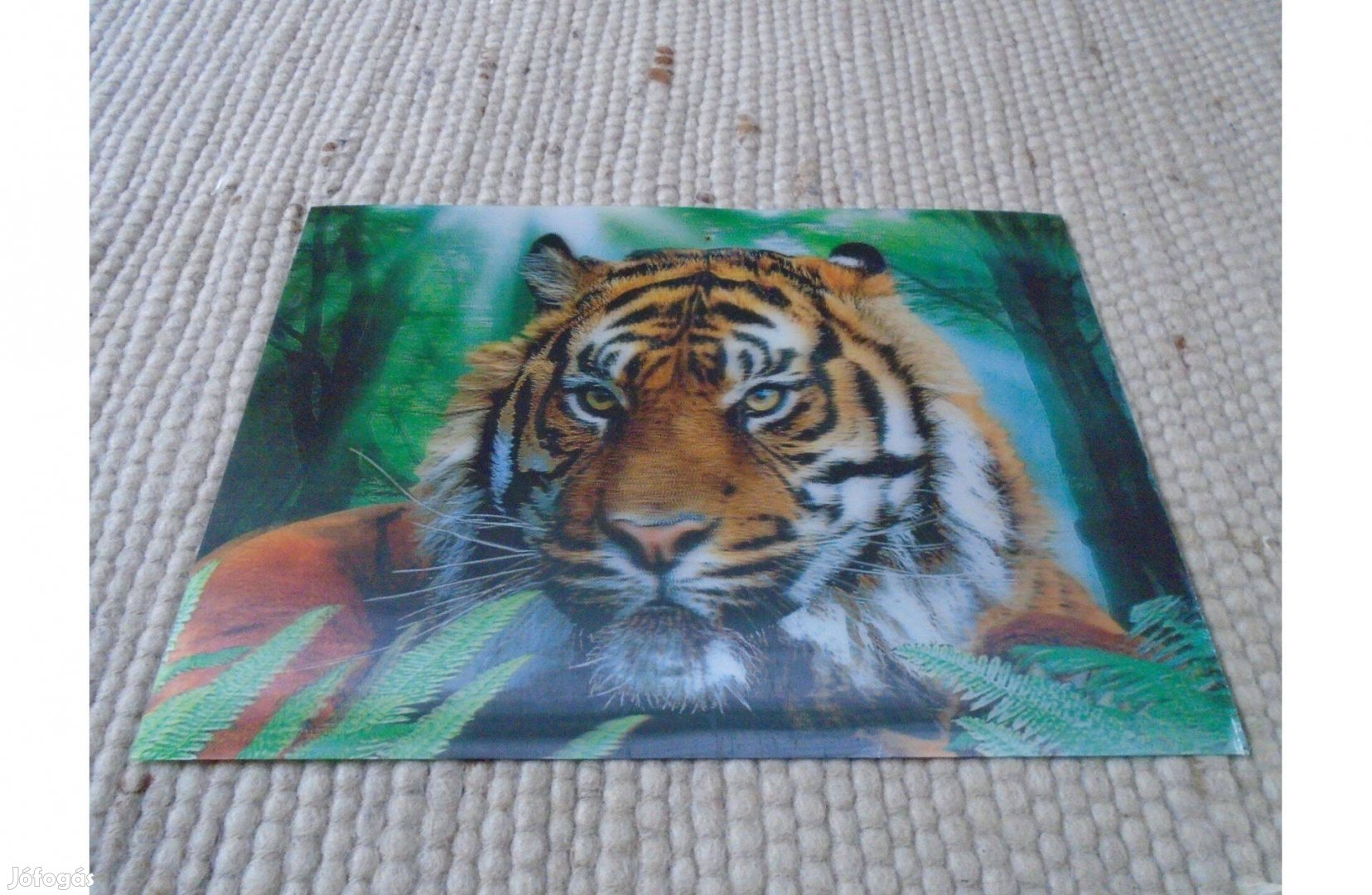 "Tigris" - falra tehető, dimenziós, műanyagos kép -