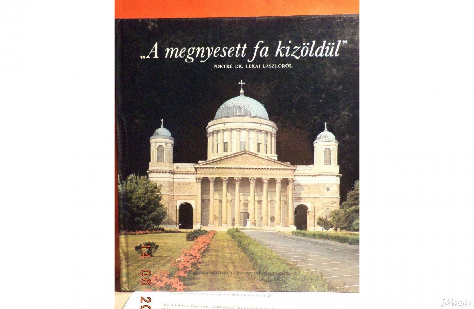 " A megnyesett fa kizöldül"- portré Dr. Lékai Lászlóról