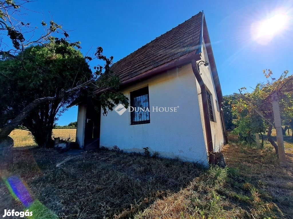 Eladó panorámás présház szőlővel és gyümölcsfákkal Baksán