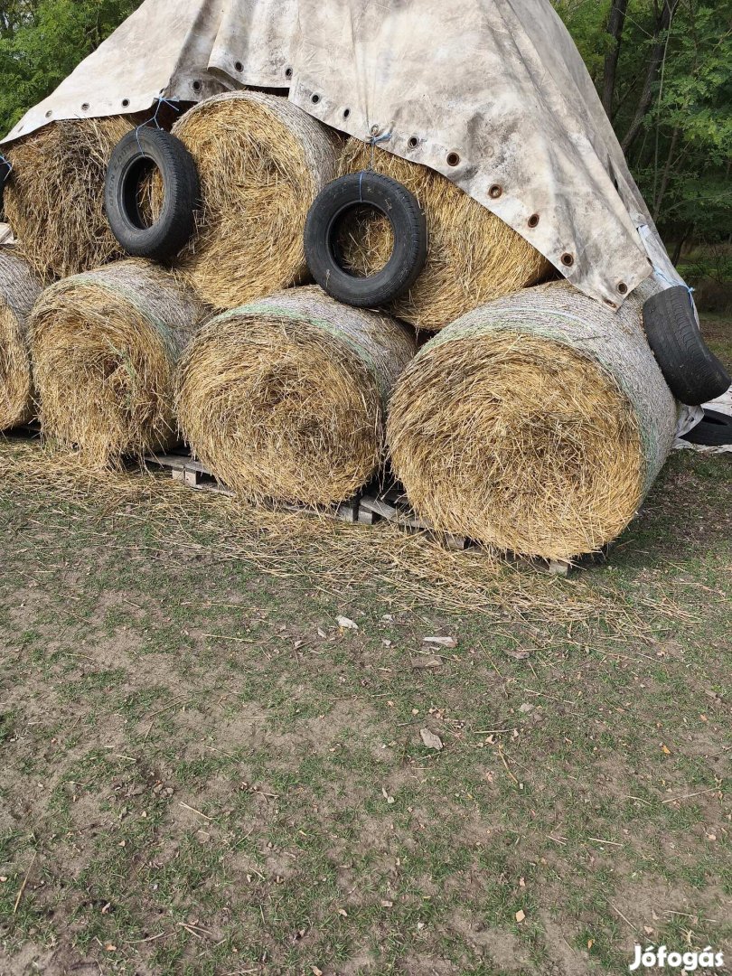 búza szalma fedett helyen tárolt 120x120 csere érdekel.