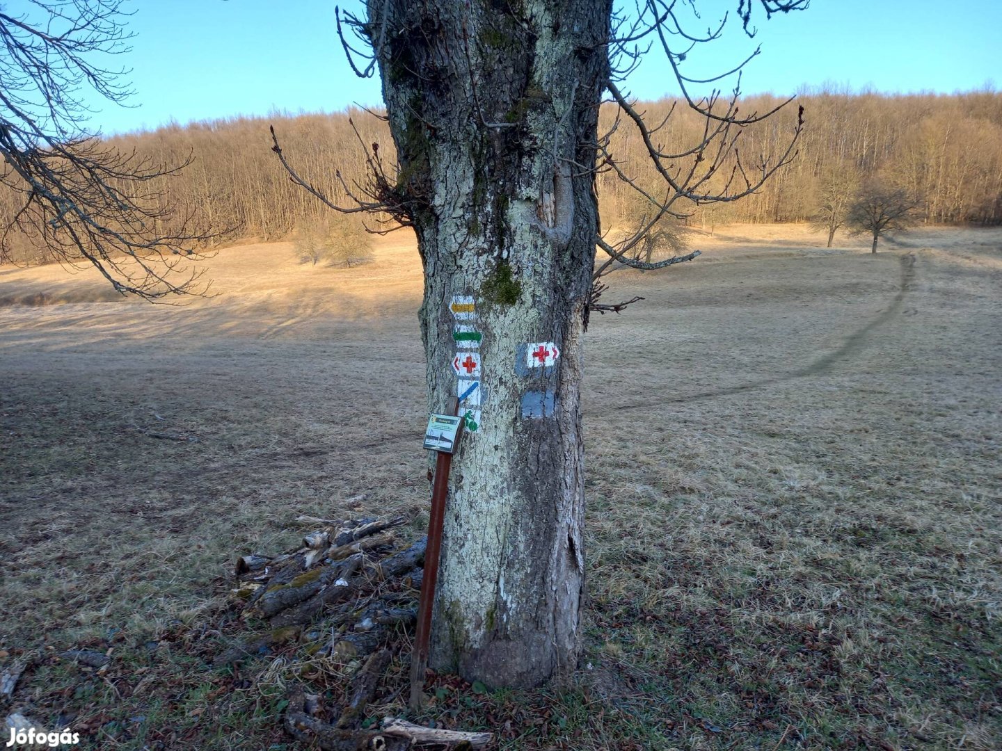 csőmetsző eladó n98
