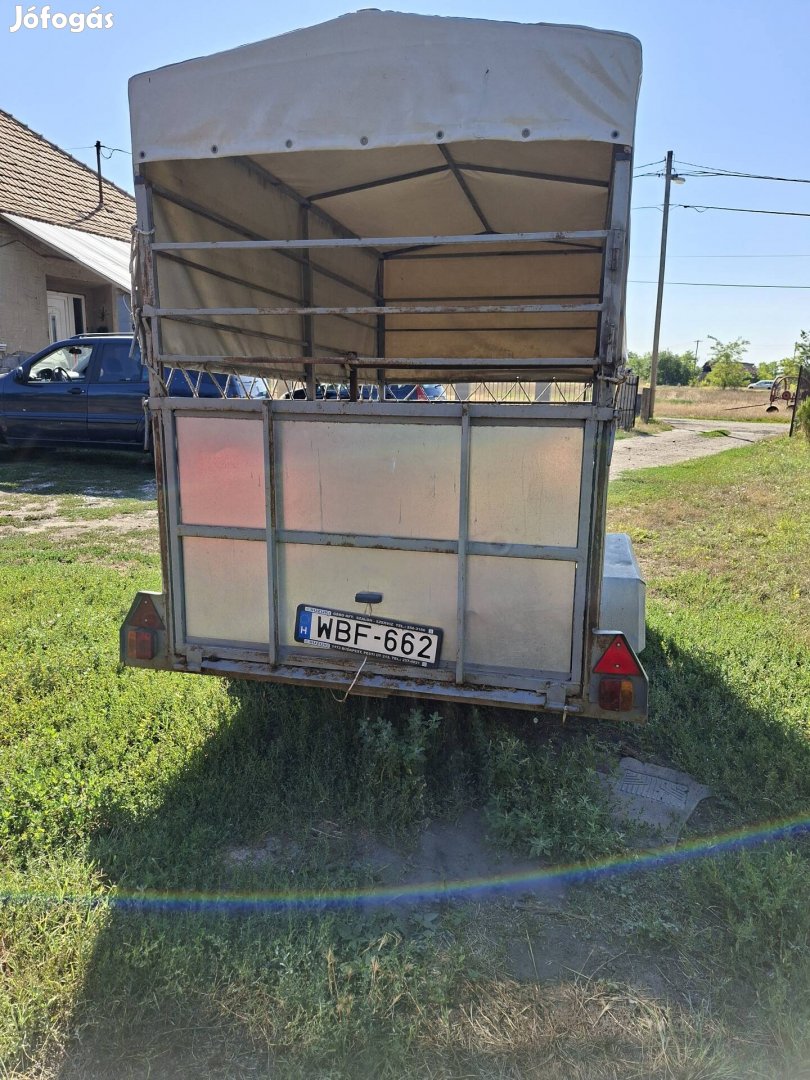élőállat szálitó