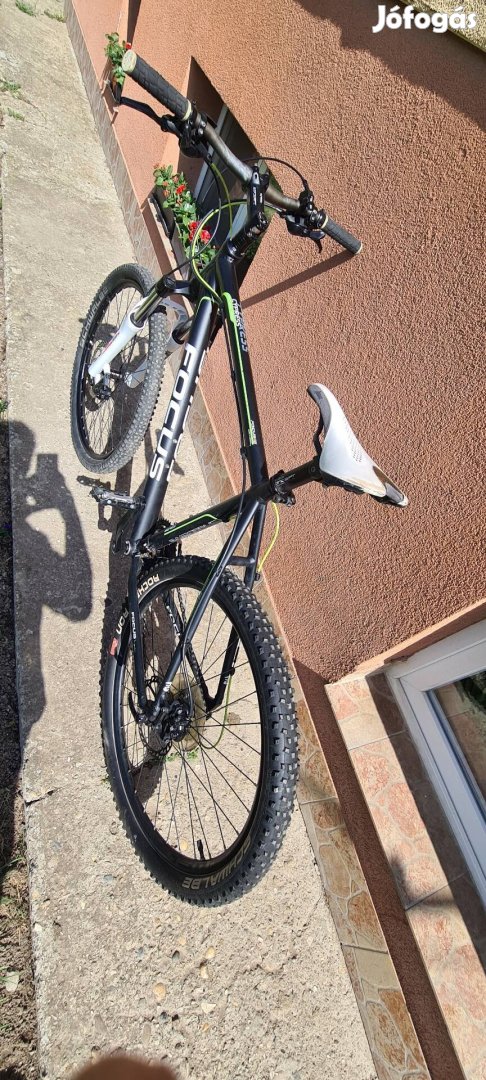 focus MTB 26