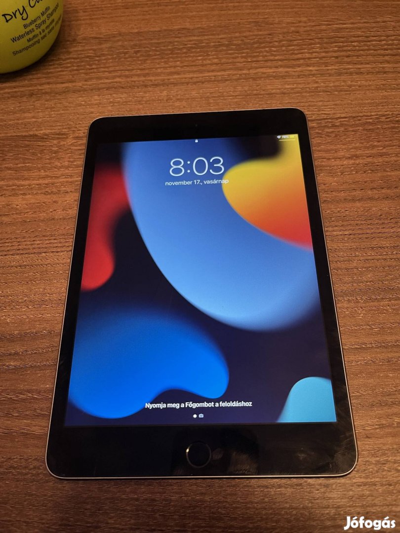 ipad Mini 4 64GB