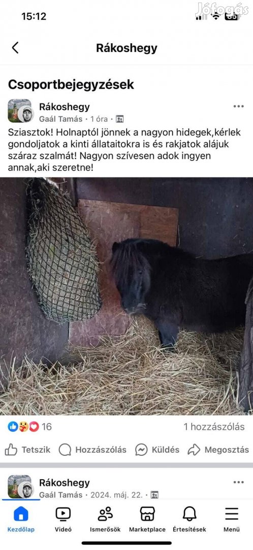 istálló trágya érett 