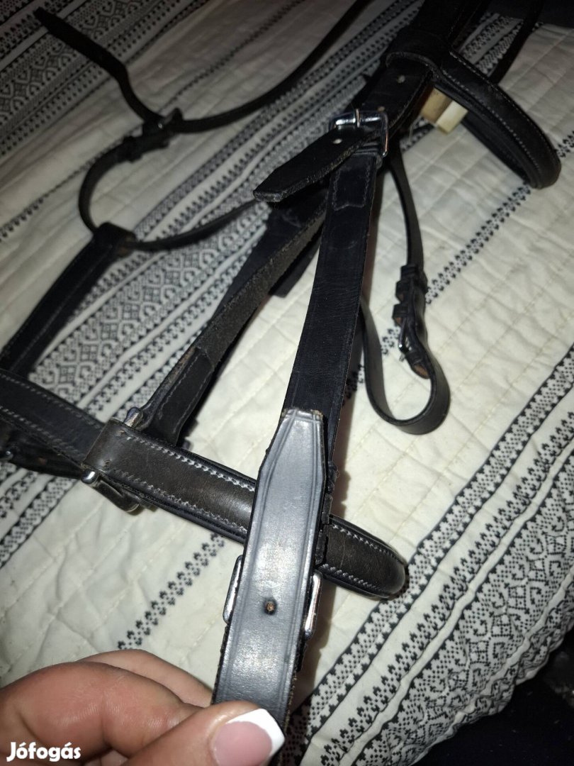 kantár és kötőfék egyben