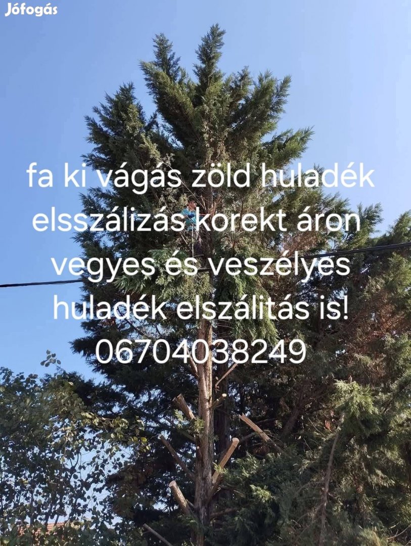 kertészeti munkát vállalok udvar takarítást 