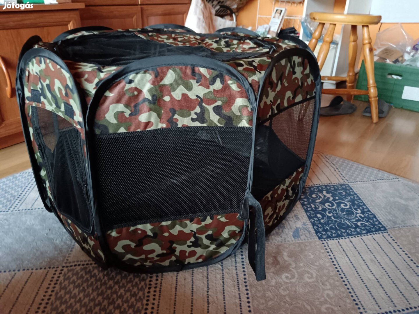 kisállat kennelek 