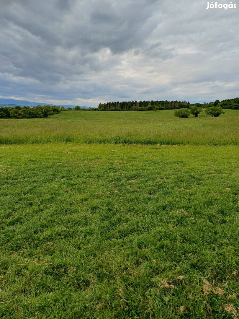 legelő eladó