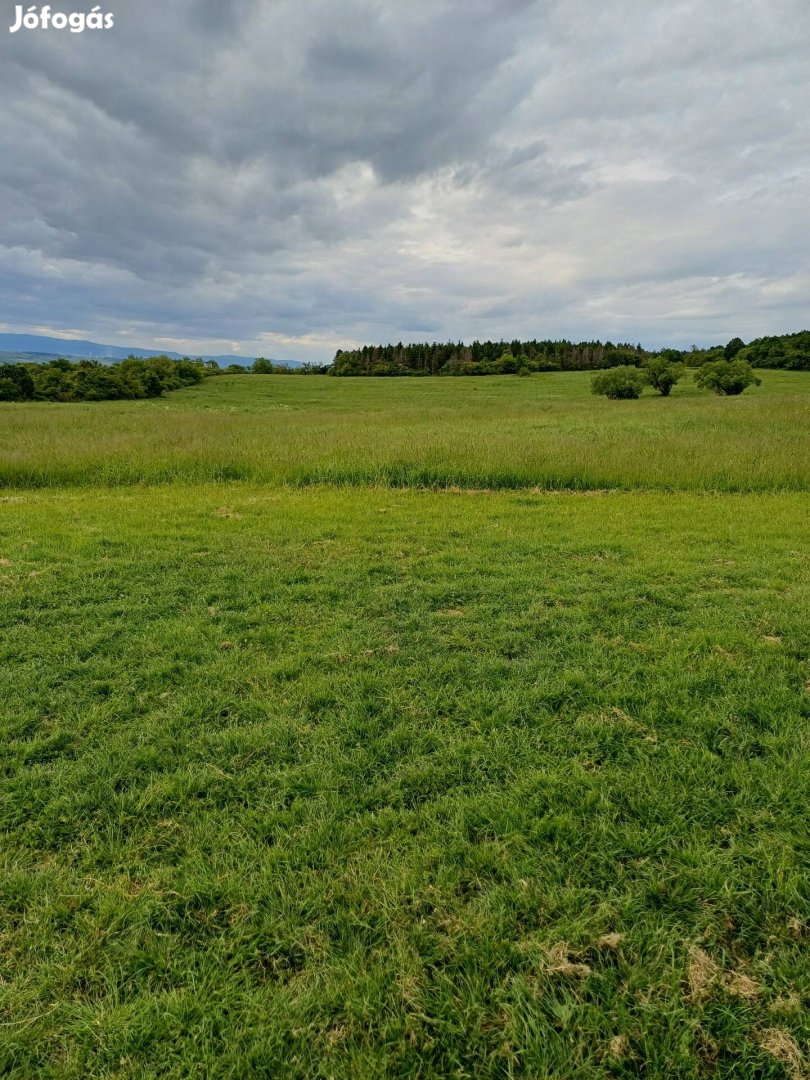 legelő eladó